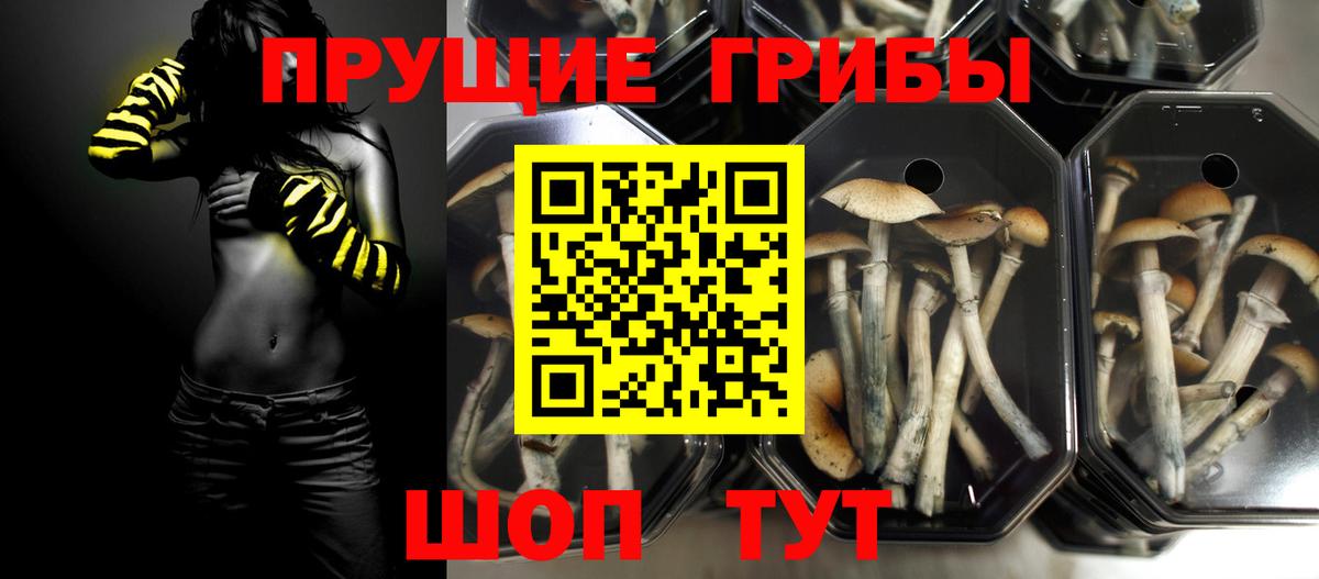 Псилоцибиновые грибы прущие грибы Ессентуки