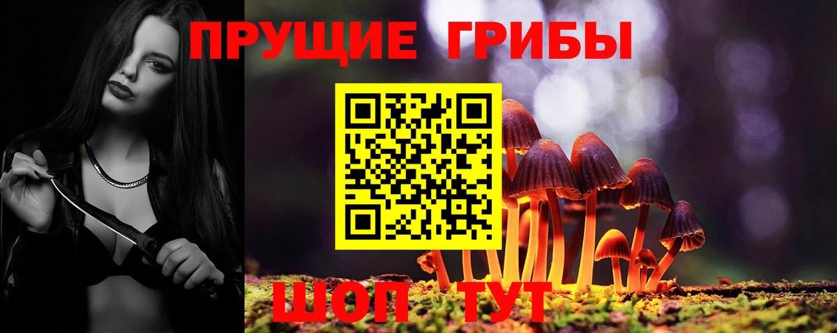 Псилоцибиновые грибы ЛСД  Вход с VPN  купить закладку  Ессентуки 